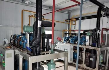 上海儒汇中央厨房2000平米净菜加工冷藏库工程案例